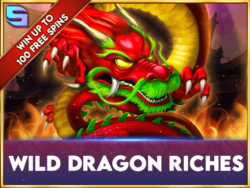 Wild Dragon Riches screenshot