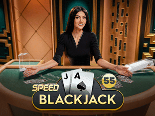 Speed Blackjack 55 screenshot
